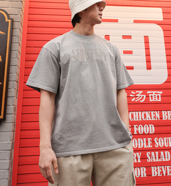 (L-5XL)<BR>또히아 顔料 半そでティー FF56
