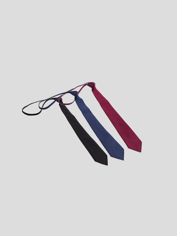 순정만화 타이(골지타이)